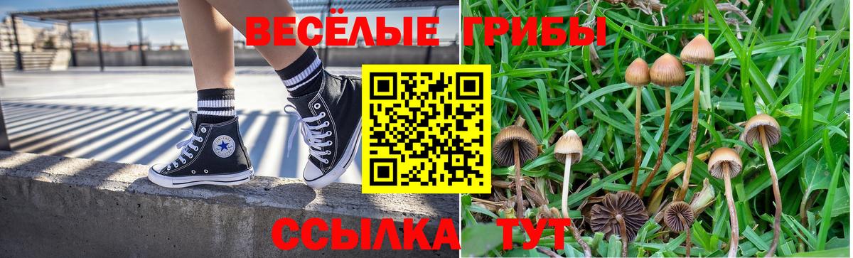 Галлюциногенные грибы мицелий Коломна